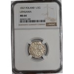 Sigismund II Augustus, Half-Grosz, 1557, Vilnius - L/LITVA - beautiful