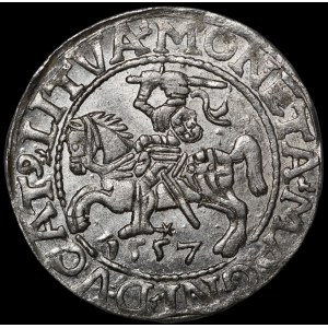 Sigismund II Augustus, Half-Groschen, 1557, Vilnius - L/LITVA