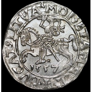 Sigismund II Augustus, Half-grosz, 1557, Vilnius - L/LITVA - variant