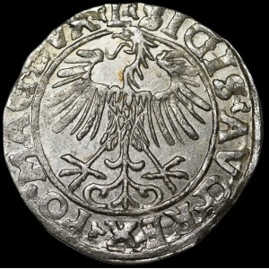 Sigismund II Augustus, Half-grosz, 1557, Vilnius - L/LITVA - variant