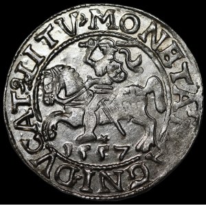 Zygmunt II. August, půlgroš z roku 1557, Vilnius – LI/LITV