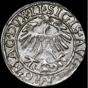 Zygmunt II. August, půlgroš z roku 1557, Vilnius – LI/LITV