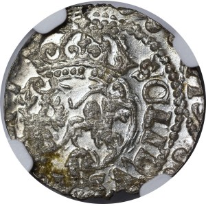 Zygmunt III Waza, Szeląg 1619, Wilno - mały monogram - piękny