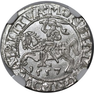 Sigismund II Augustus, Half-Groschen, 1557, Vilnius - LI/LITVA - excellent