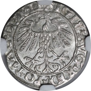 Sigismund II Augustus, Half-Groschen, 1557, Vilnius - LI/LITVA - excellent