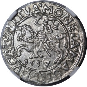 Zygmunt II August, Półgrosz 1557, Wilno - LI/LITVA - piękny