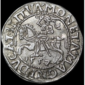 Sigismund II Augustus, Half-Groschen, 1557, Vilnius - LI/LITVA