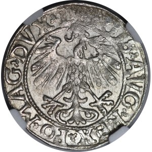 Sigismund II Augustus, Half-grosz, 1558, Vilnius - L/LITV - beautiful