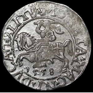 Sigismund II. August, Halbgroschen 1558, Vilnius – L/LITV