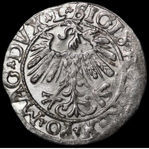 Sigismund II. August, Halbgroschen 1558, Vilnius – L/LITV