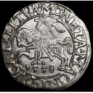 Sigismund II Augustus, Half-Groschen, 1558, Vilnius - L/LITVA