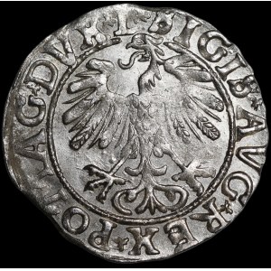 Sigismund II Augustus, Half-Groschen, 1558, Vilnius - L/LITVA