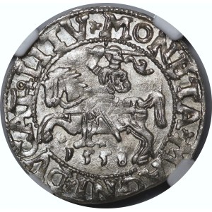 Sigismond II Auguste, demi-groat de 1558, Vilnius - LI/LITV - excellent état