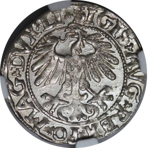 Sigismond II Auguste, demi-groat de 1558, Vilnius - LI/LITV - excellent état