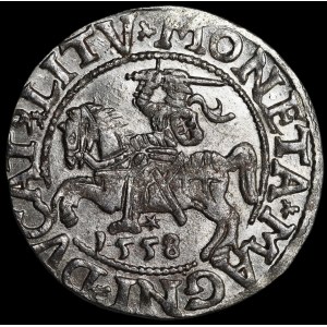 Sigismund II Augustus, Half-Groschen, 1558, Vilnius - LI/LITV