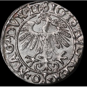 Sigismund II Augustus, Half-Groschen, 1558, Vilnius - LI/LITV