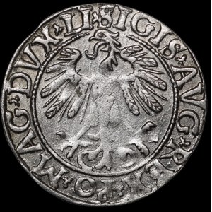 Zygmunt II August, Półgrosz 1558, Wilno - LI/LITV