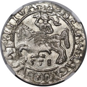 Sigismund II Augustus, Half-Groschen, 1558, Vilnius - LI/LITVA - beautiful