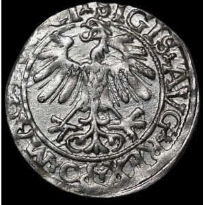 Sigismondo II Augusto, mezzo groschen del 1558, Vilnius - LI/LITVA