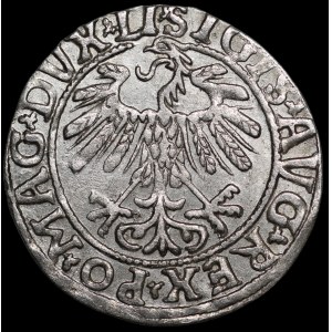Sigismondo II Augusto, mezzo grosz del 1558, Vilnius - LI/LITVA