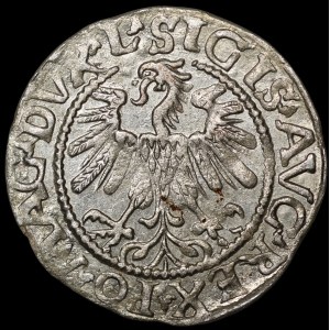 Zygmunt II August, Półgrosz 1559, Wilno - L/LITV