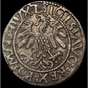 Sigismund II Augustus, Half-Grosz, 1559, Vilnius - L/LITV - inverted L - rare