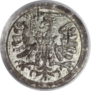 Sigismund III Vasa, Denar, 1590, Gdańsk—beautiful