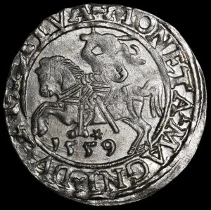 Sigismund II. August, Halbgroschen 1559, Vilnius – L/LITVA