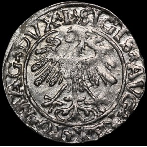 Sigismund II. August, Halbgroschen 1559, Vilnius – L/LITVA