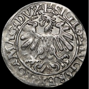 Sigismund II Augustus, Half-grosz, 1559, Vilnius - L/LITVA - A without a crossbar - rare