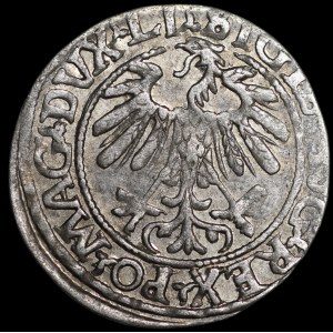 Sigismond II Auguste, demi-groat de 1559, Vilnius - LI/LITVA