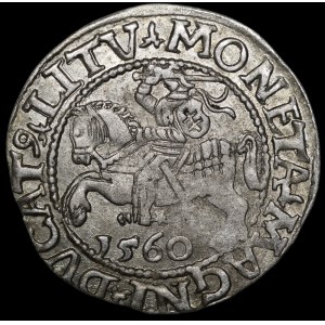 Sigismondo II Augusto, mezzo grosz del 1560, Vilnius - DVX L/LITV