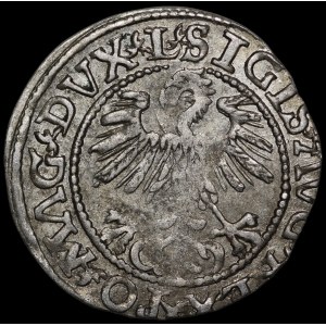 Sigismondo II Augusto, mezzo grosz del 1560, Vilnius - DVX L/LITV