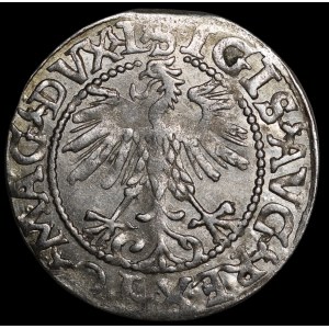 Sigismondo II Augusto, mezzo grosz del 1560, Vilnius - DVX L/LITV