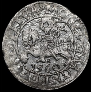 Sigismund II. August, Halbgroschen 1560, Vilnius – DV L/LITVA – sehr selten