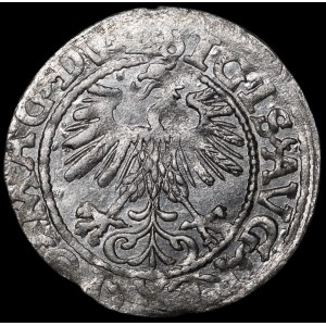 Sigismund II. August, Halbgroschen 1560, Vilnius – DV L/LITVA – sehr selten