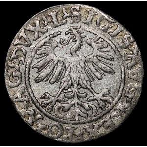 Sigismund II. August, Halbgroschen 1560, Vilnius – DVX L/LITV