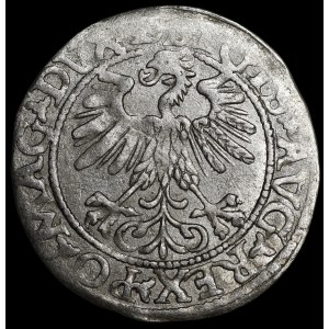 Sigismondo II Augusto, mezzo grosz del 1560, Vilnius - DVX L/LITVA