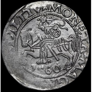 Sigismund II Augustus, Half-Grosz, 1560, Vilnius - DVX L/LITV - rosette - rare