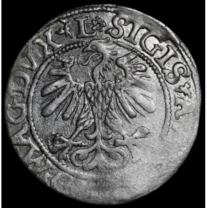 Sigismund II Augustus, Half-Grosz, 1560, Vilnius - DVX L/LITV - rosette - rare