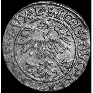 Sigismondo II Augusto, mezzo grosz del 1561, Vilnius - 13 Aquila, L/LITV
