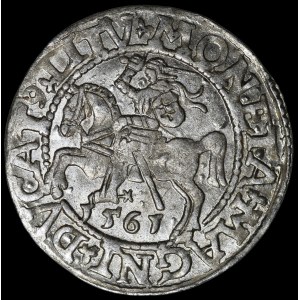 Sigismund II Augustus, Half-Grosz, 1561, Vilnius—14 Eagle, L/LITV