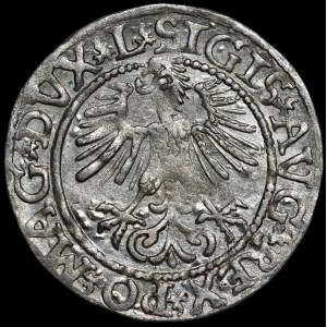 Sigismund II Augustus, Half-Grosz, 1561, Vilnius—14 Eagle, L/LITV