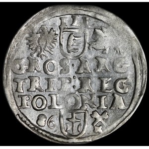 Stefan Batory, Trojak 1586, Poznań – date à gauche