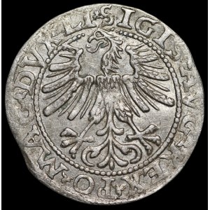 Sigismund II Augustus, Half-Grosz, 1563, Vilnius - 19 Pogoń, Axe, DVX LI/LITV
