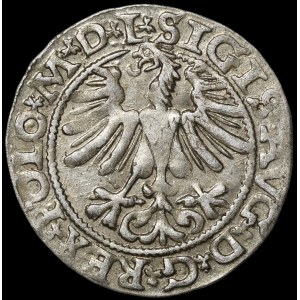 Sigismund II Augustus, Half-grosz, 1565, Vilnius – 22 Pogoń, Axe, L/LITV