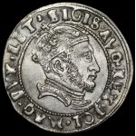 Žiūrėti panašius