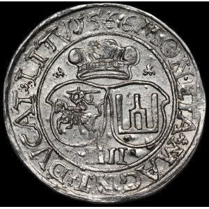 Zygmunt II August, Czworak 1566, Wilno - L/LITV