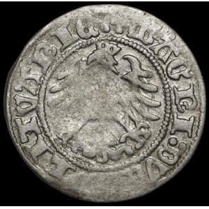 Sigismund I the Old, Half-groschen, 1518, Vilnius—Renaissance/Gothic—very rare