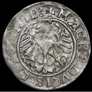 Zygmunt I Stary, Półgrosz 1519, Wilno - dziury w skrzydłach - rzadki
